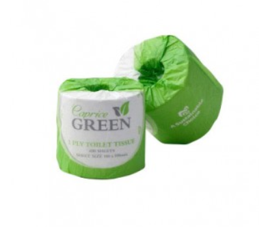 TOILET PAPER GREEN 2PLY 400 SHEET X 48 ROLLS INDIVIDUAL 